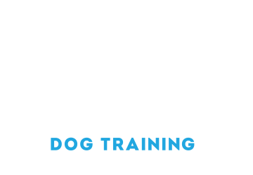 Jason Harris Dog Training Port Macquarie