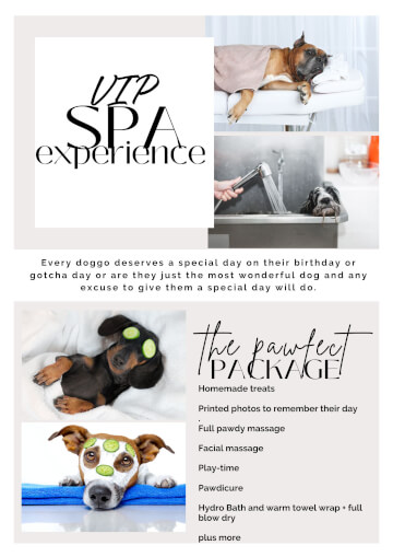 Jason Harris Dog Training Port Macquarie