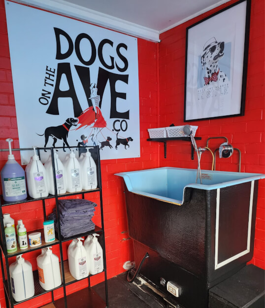 Jason Harris Dog Training Port Macquarie