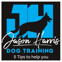 Jason Harris Dog Training Port Macquarie