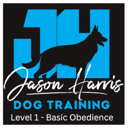 Jason Harris Dog Training Port Macquarie