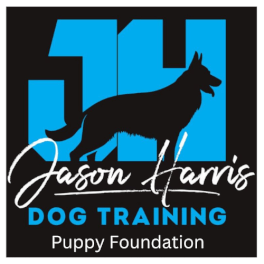 Jason Harris Dog Training Port Macquarie