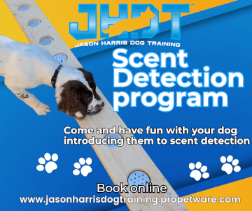 Jason Harris Dog Training Port Macquarie