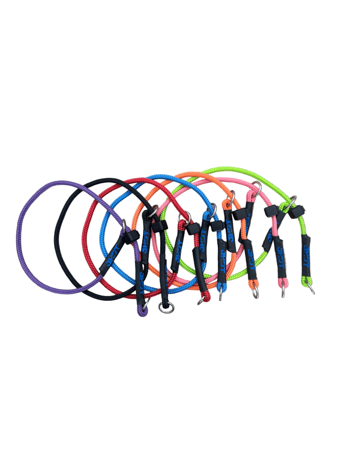 Jason Harris Dog Training Port Macquarie