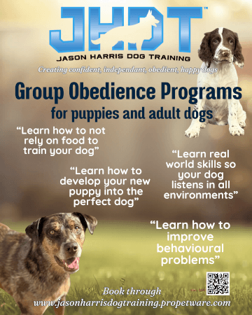 Jason Harris Dog Training Port Macquarie