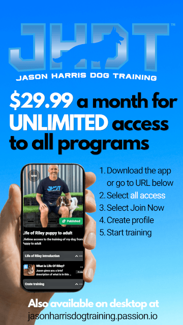 Jason Harris Dog Training Port Macquarie