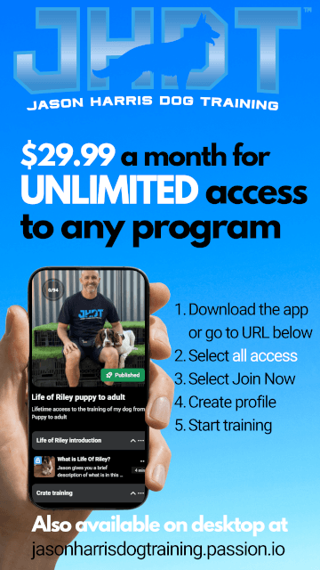 Jason Harris Dog Training Port Macquarie